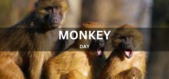 MONKEY DAY [बंदर दिवस]